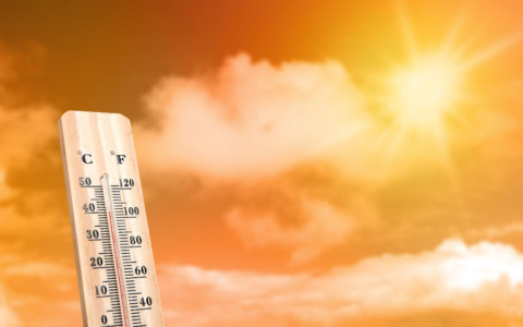 Vendemmia anticipata in Oltrepò a causa del caldo record