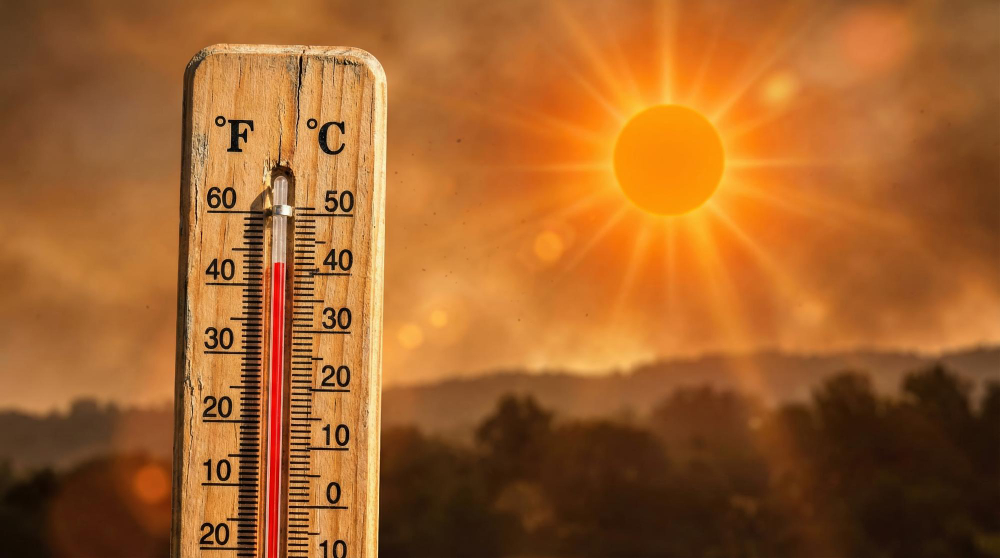 Giardini Malaspina aperti solo 4 ore al giorno, cittadini protestano