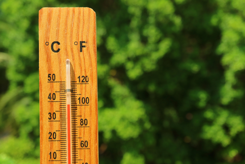 Verde e rifugi per contrastare gli effetti climatici