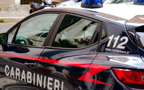 Lite condominiale, scatta la denuncia per due piante di marijuana