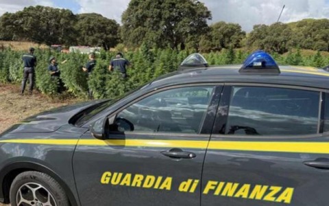 Maxi multa da 1,7 milioni per bagarinaggio online ai Giochi Olimpici