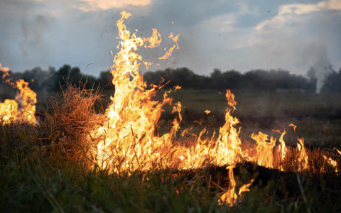 Incendio notturno alla discarica di Montebellino