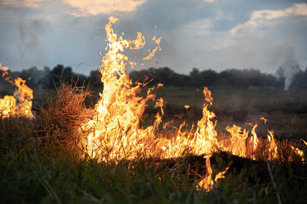 Incendio notturno alla discarica di Montebellino