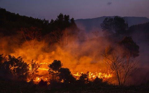 Fiamme all’organo di San Rocco: chiesa chiusa a Voghera
