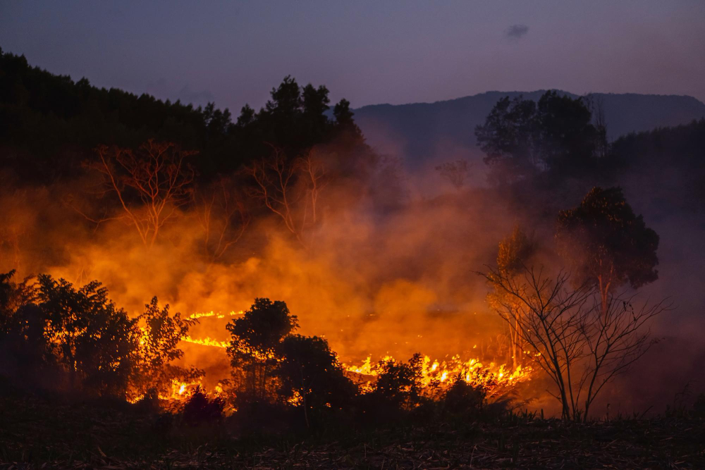 Fiamme all’organo di San Rocco: chiesa chiusa a Voghera