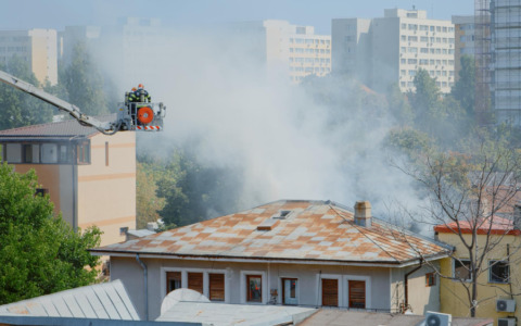 Incendio distrugge un centro cinofilo: raccolta fondi per ripartire