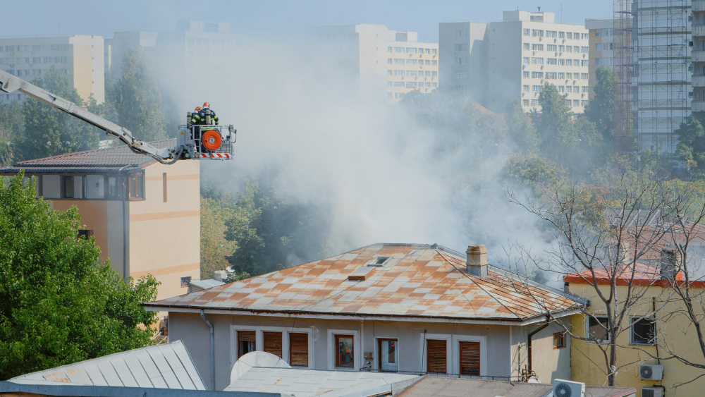 Incendio distrugge un centro cinofilo: raccolta fondi per ripartire
