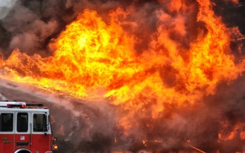 Incendio nel Parco del Ticino, intervento dei vigili del fuoco