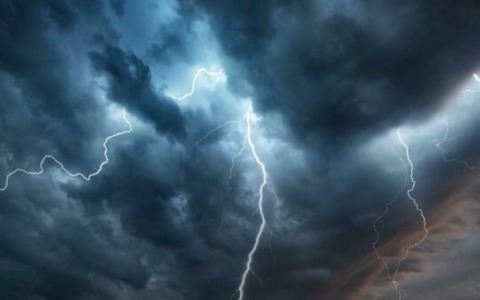 Piogge tardive, il riso pavese resta compromesso