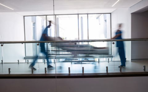 Morto a 85 anni dopo il contagio dal virus West Nile