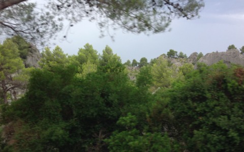 Verso il recupero dell’area verde dell’ex Snia a Pavia