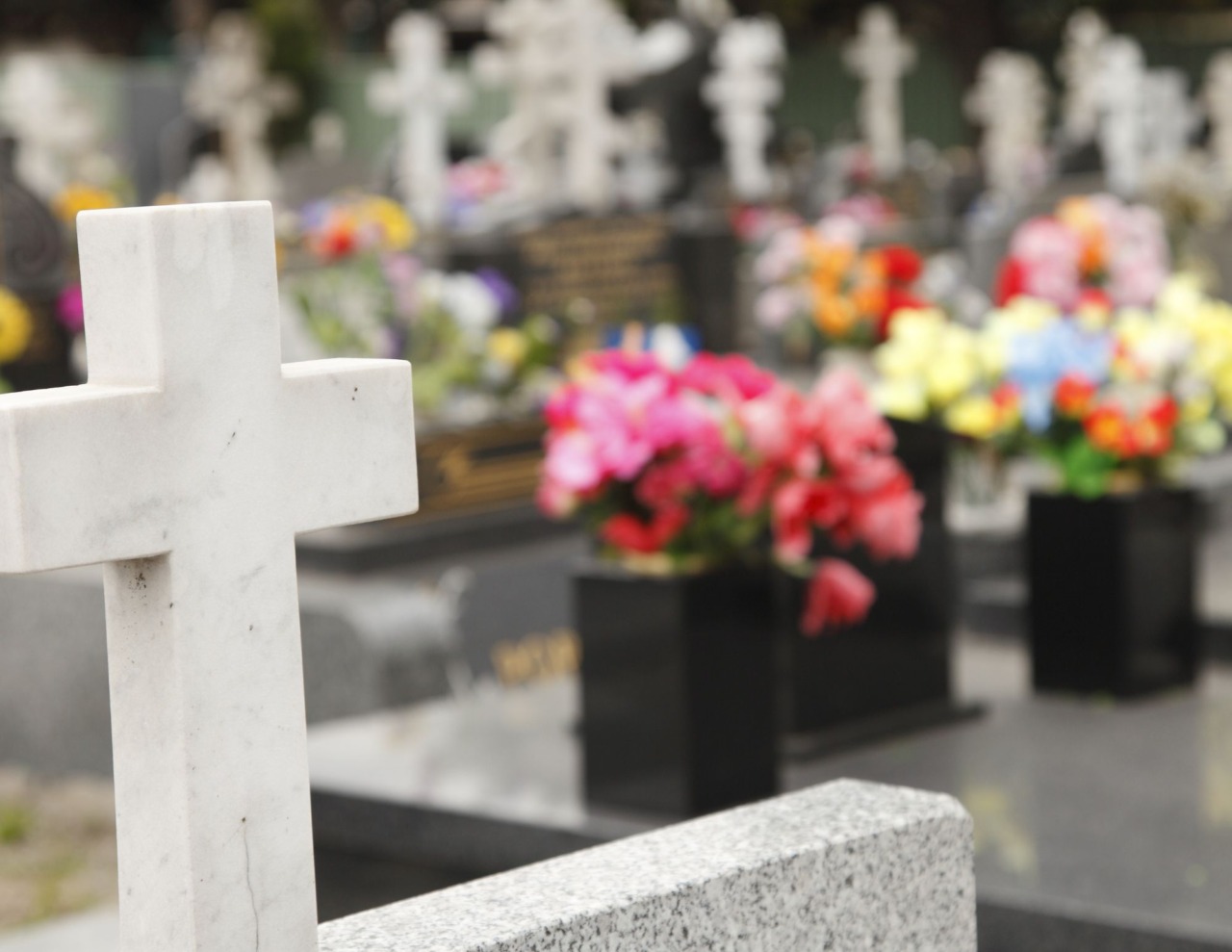 Raid nel cimitero di Stradella: spariti vasi e statue